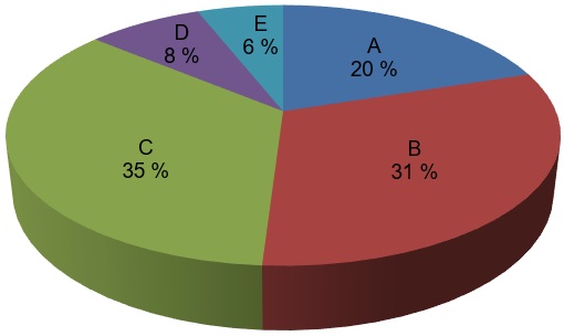 Ferblantier/ferblantire - Pie Chart