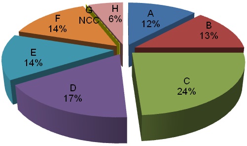 Plumber - Pie Chart