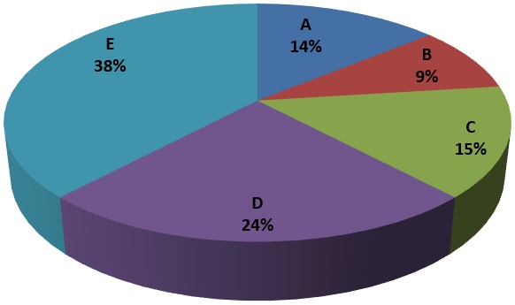 Rig Technician - Pie Chart